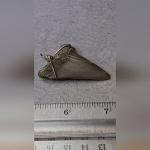 Silver Shark Tooth Pendant